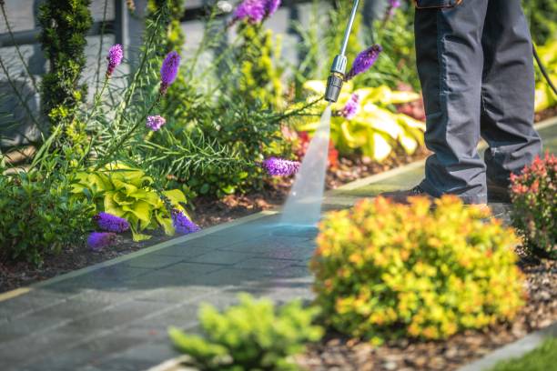 Best Pre-Holiday Cleaning  in Fairmont, MN