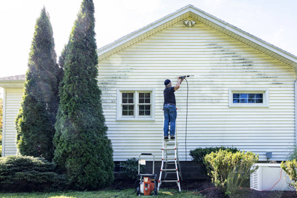 Best Soft Washing  in Fairmont, MN